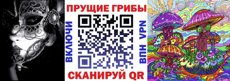 Галлюциногенные грибы прущие грибы  Купить закладки  Кореновск 