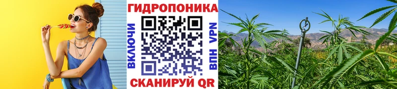 Купить закладки  Кореновск  Канабис SATIVA & INDICA 